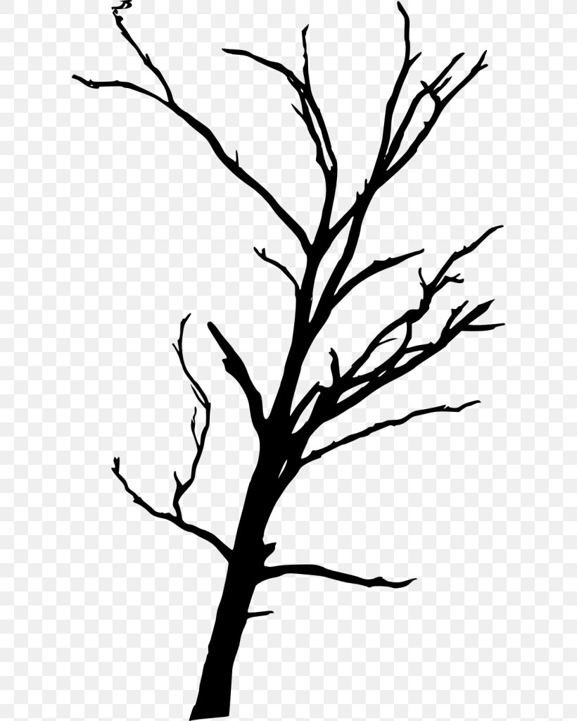 Twig Drawing Clip Art, PNG, 616x1024px, 3d Computer Graphics, Twig, Artwork, Beak, Black And White Download Free