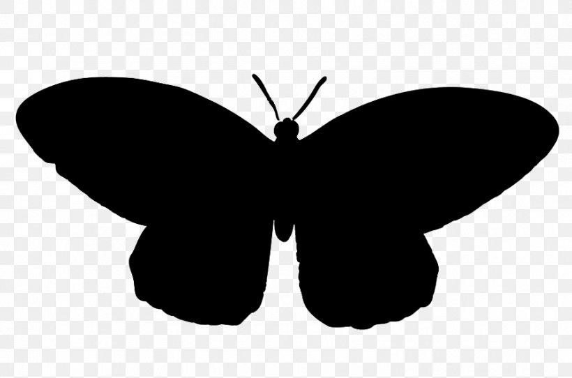 Brush-footed Butterflies Moth Clip Art Silhouette M. Butterfly, PNG, 893x591px, Brushfooted Butterflies, Black, Black M, Blackandwhite, Brushfooted Butterfly Download Free