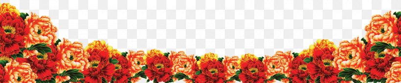 Chrysanthemum Plant Computer File, PNG, 1700x356px, Chrysanthemum, Daisy Family, Designer, Floral Design, Floristry Download Free