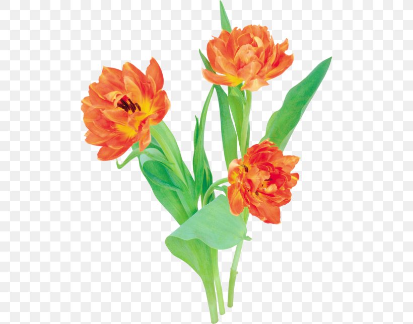 Floral Design Tulip Cut Flowers Clip Art, PNG, 500x644px, Floral Design, Artificial Flower, Cut Flowers, Floristry, Flower Download Free