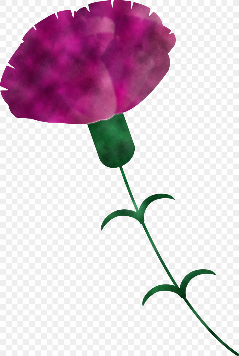 Mothers Day Carnation Mothers Day Flower, PNG, 2017x3000px, Mothers Day Carnation, Cut Flowers, Flower, Leaf, Magenta Download Free