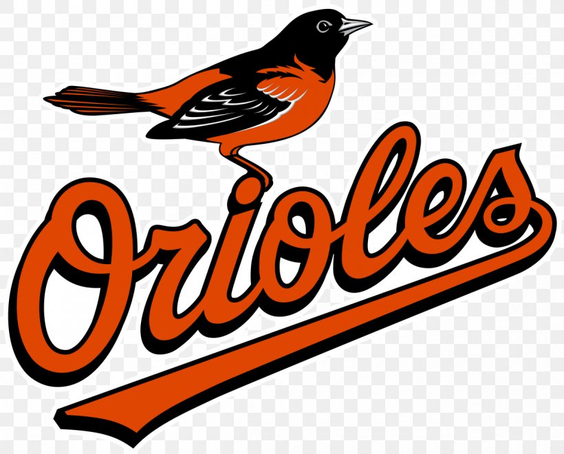 Oriole Park At Camden Yards Baltimore Orioles MLB Spring Training