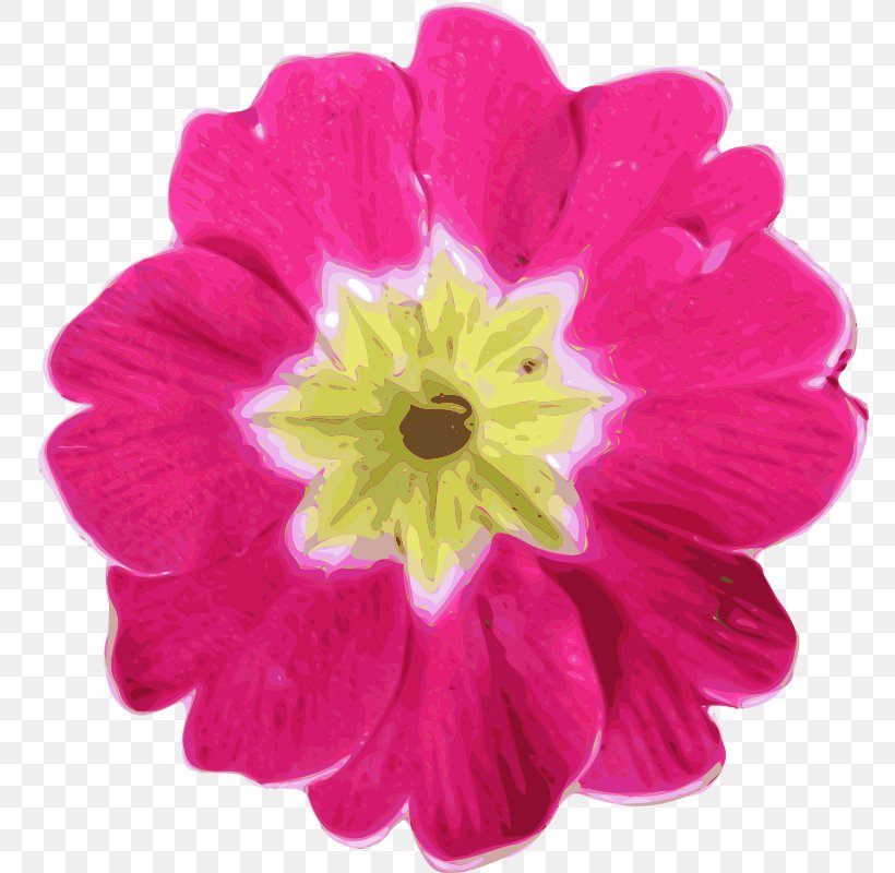 Pink Flowers Free Clip Art, PNG, 773x800px, Pink Flowers, Annual Plant, Cdr, Drawing, Flower Download Free