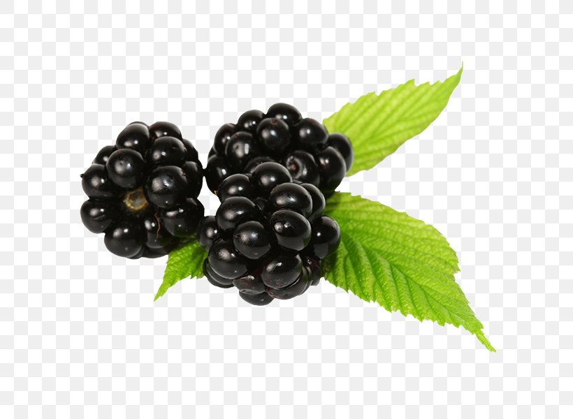 Raspberry Fruit Blueberry Auglis, PNG, 600x600px, Berry, Auglis, Bilberry, Blackberry, Blueberry Download Free