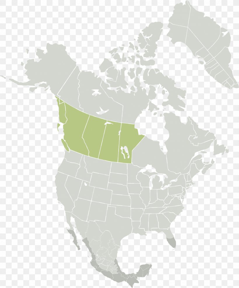 United States Blank Map Mexico Kropf Industrial Inc., PNG, 1789x2154px, United States, Blank Map, Canada, Knowledge, Legal Drinking Age Download Free