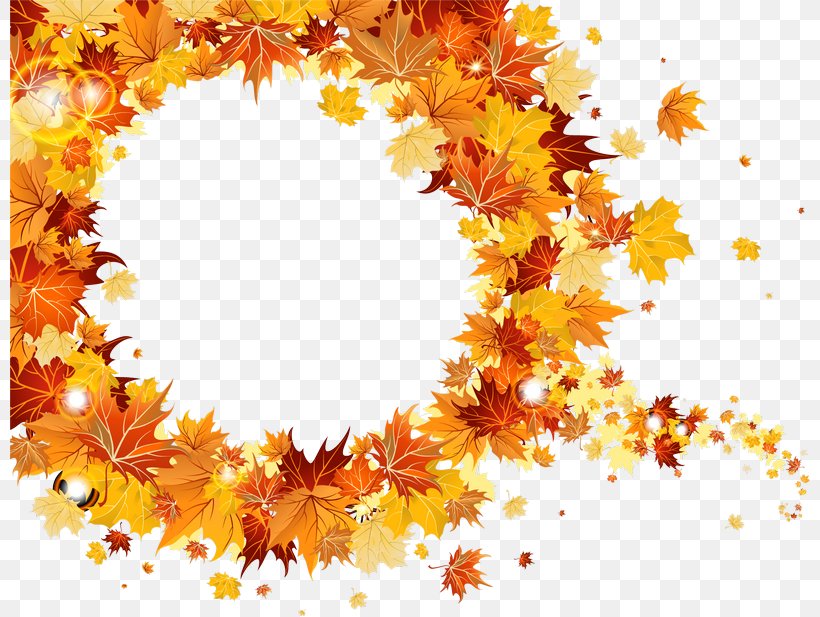 Autumn Clip Art, PNG, 800x617px, Autumn, Autumn Leaf Color, Flower, Leaf, Maple Leaf Download Free