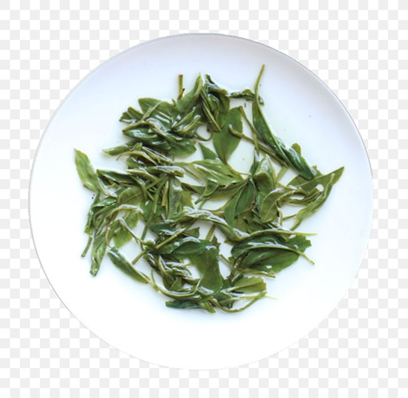 Green Tea Black Tea Camellia Sinensis, PNG, 800x800px, Tea, Assam Tea, Bai Mudan, Bancha, Biluochun Download Free