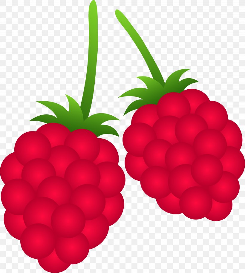 Raspberry Fruit Clip Art, PNG, 4571x5098px, Berry, Black Raspberry, Blackberry, Blue Raspberry Flavor, Cherry Download Free