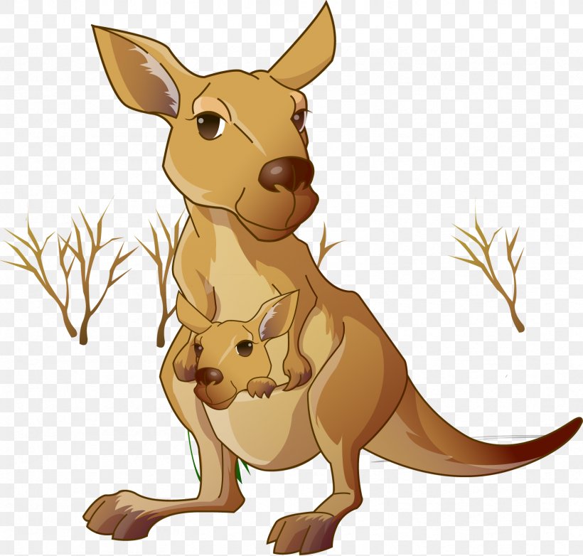 Red Kangaroo Macropodidae Cartoon, PNG, 1664x1587px, Kangaroo, Animal, Carnivoran, Cartoon, Child Download Free