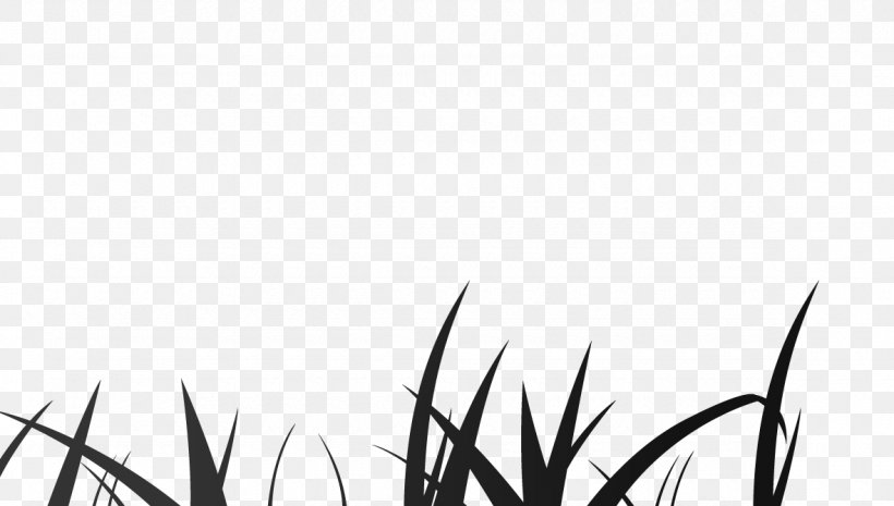 Twig Plant Stem Grasses White Leaf, PNG, 1180x670px, Twig, Black, Black And White, Branch, Computer Download Free