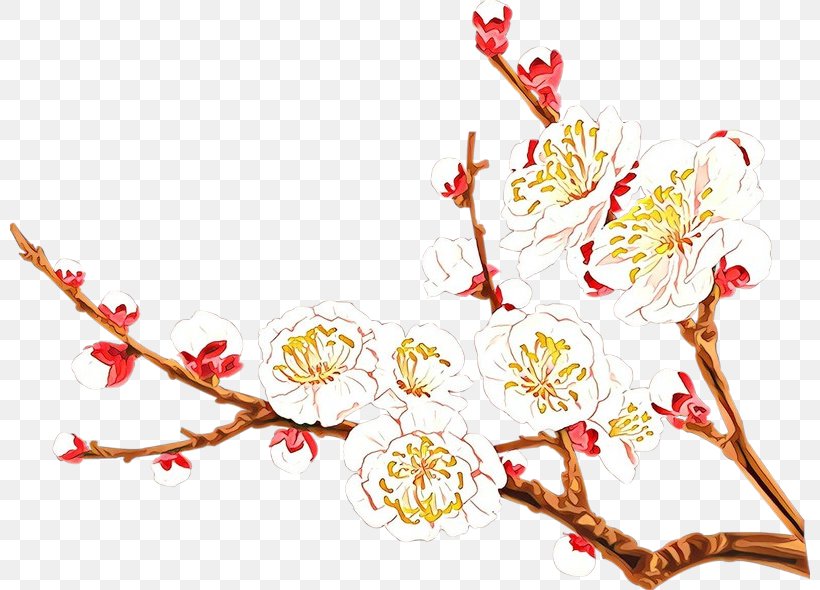 Branch Plant Flower Blossom Twig, PNG, 800x590px, Cartoon, Blossom, Branch, Flower, Perennial Plant Download Free