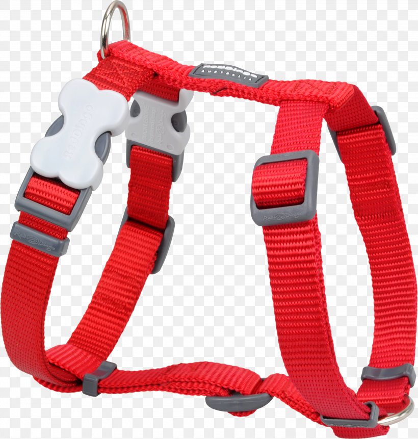 Dog Harness Dingo Dog Collar Horse Harnesses, PNG, 3000x3151px, Dog, Collar, Dingo, Dog Collar, Dog Harness Download Free
