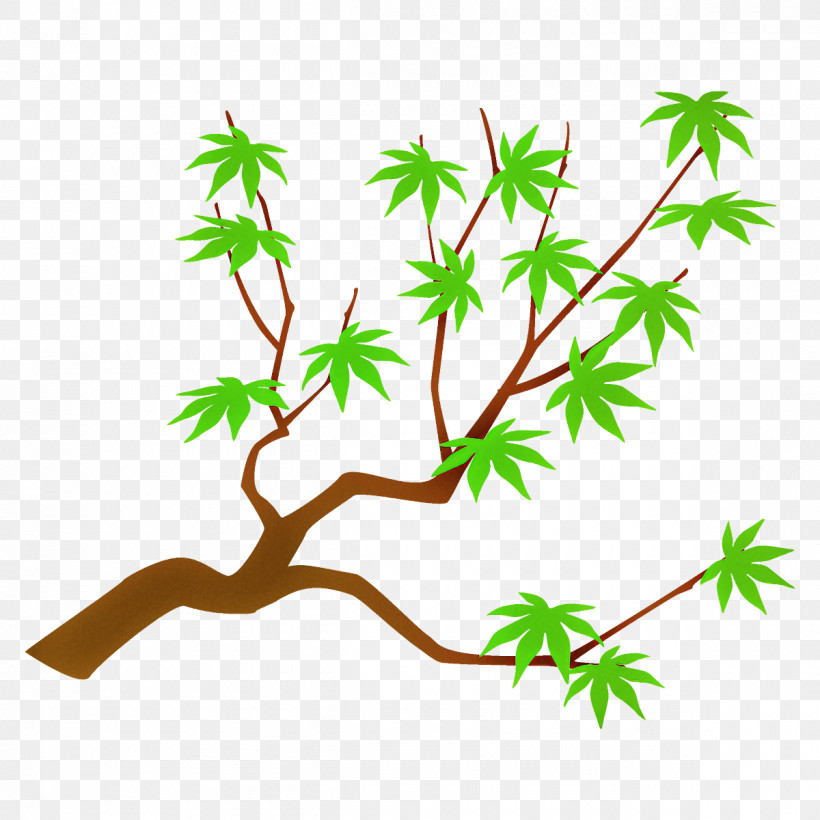 Maple Branch Maple Leaves Maple Tree, PNG, 1200x1200px, Maple Branch, American Larch, Branch, Flower, Leaf Download Free