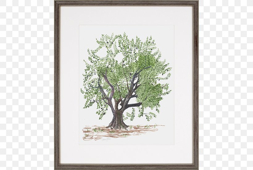 Painting Olive Trees Picture Frames Printing, PNG, 550x550px, Painting, Art, Artwork, Branch, Canvas Download Free