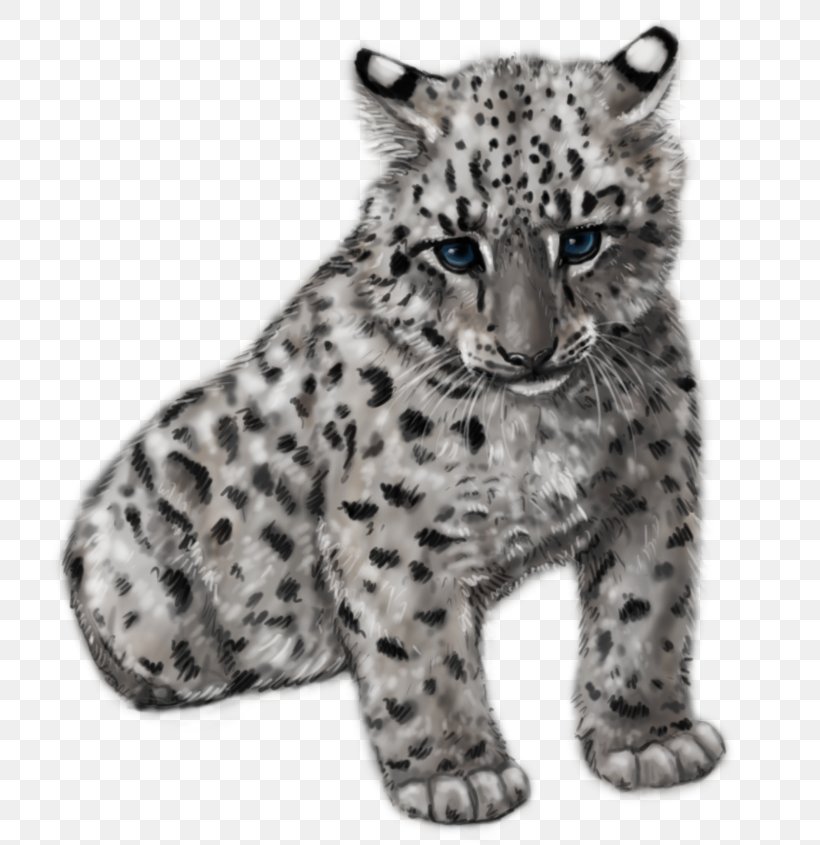 Tiger Snow Leopard Felidae Amur Leopard Drawing, PNG, 768x845px, Tiger, Amur Leopard, Animal, Big Cat, Big Cats Download Free