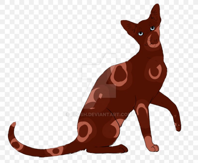 Whiskers Kitten Macropodidae Dog Mammal, PNG, 900x739px, Whiskers, Animated Cartoon, Canidae, Carnivoran, Cat Download Free