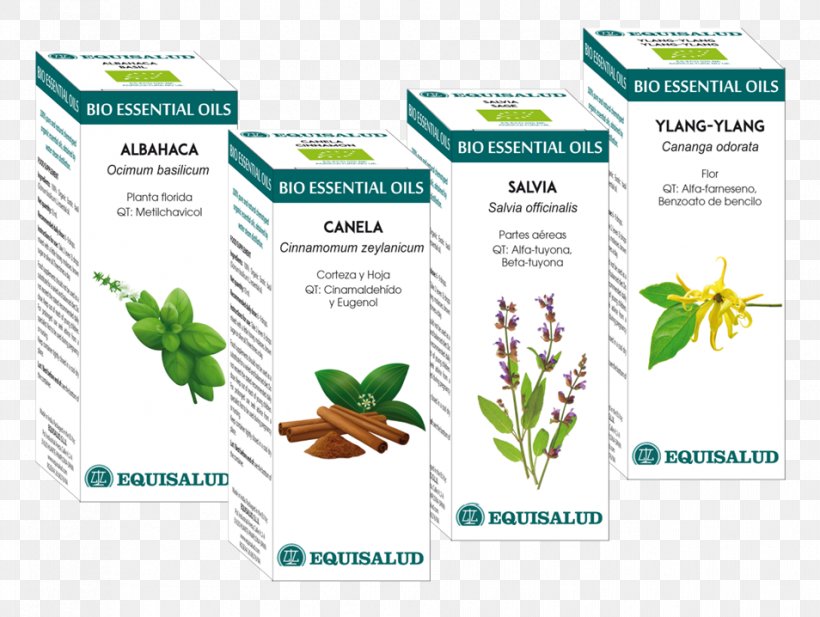 Herbalism Tree Essential Oil Cananga Odorata, PNG, 954x718px, Herbalism, Brand, Cananga Odorata, Common Sage, Essential Oil Download Free