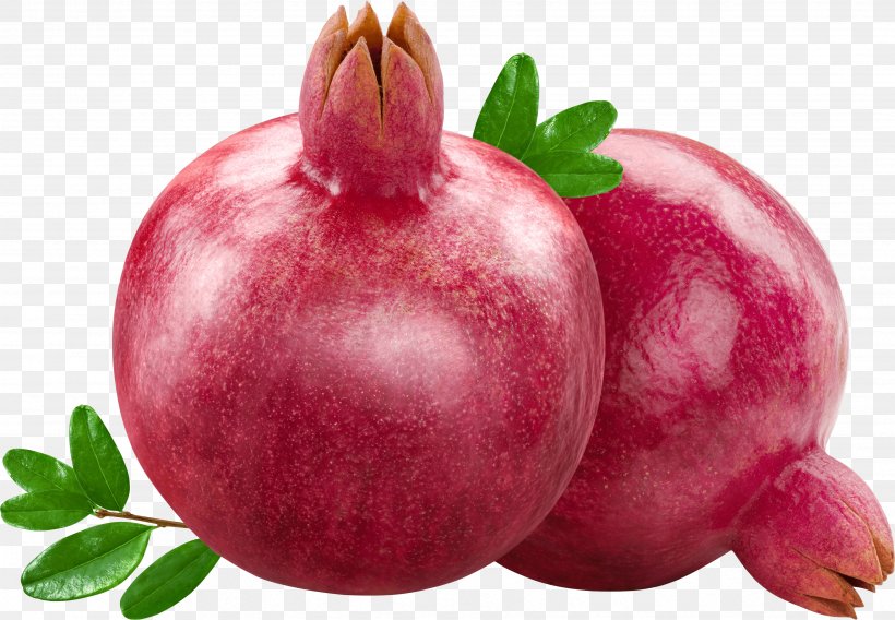 Pomegranate Fruit Plum, PNG, 3504x2429px, Pomegranate, Beet, Beetroot, Depositfiles, Diet Food Download Free