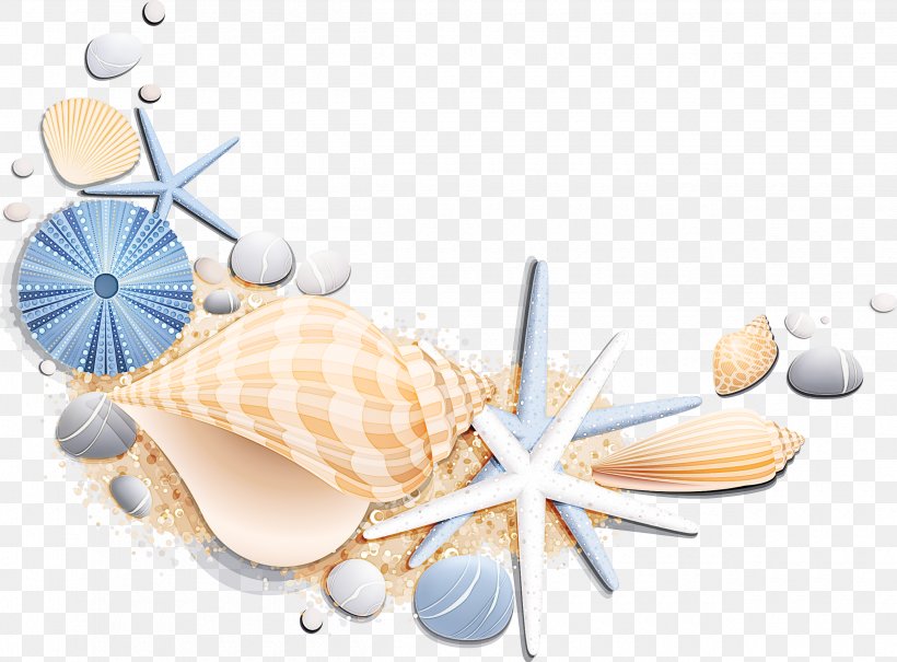 Shell Clip Art, PNG, 2500x1847px, Shell Download Free