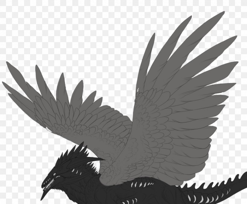 Beak Bird Of Prey Feather Galliformes, PNG, 982x813px, Beak, Bird, Bird Of Prey, Black And White, Fauna Download Free