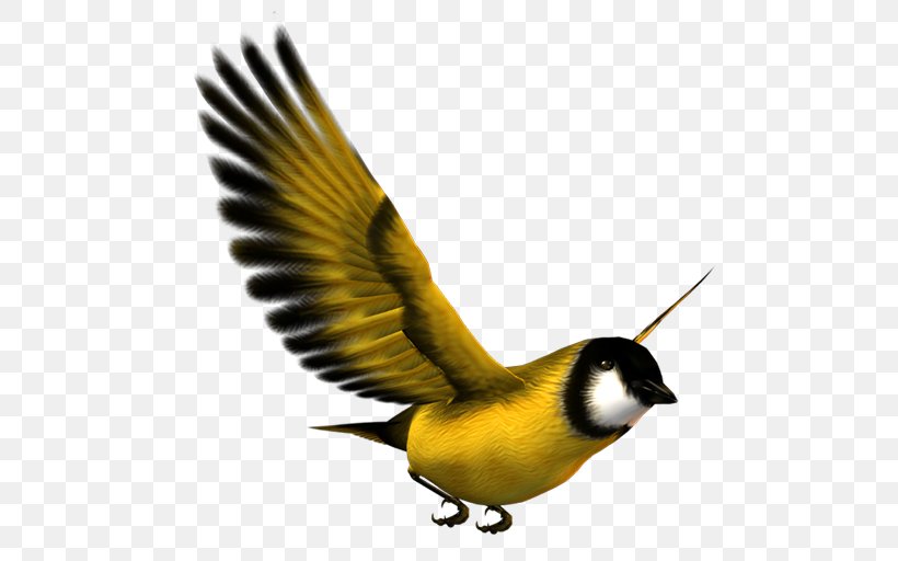 Bird Flight Bird Flight Eurasian Magpie Yellow, PNG, 512x512px, Bird, Airplane, Beak, Bird Flight, Blue Download Free