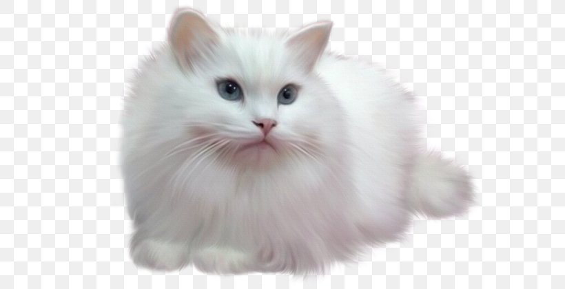 Blog Diary Afternoon .de Painting, PNG, 600x420px, Blog, Afternoon, American Curl, Asian Semi Longhair, Author Download Free