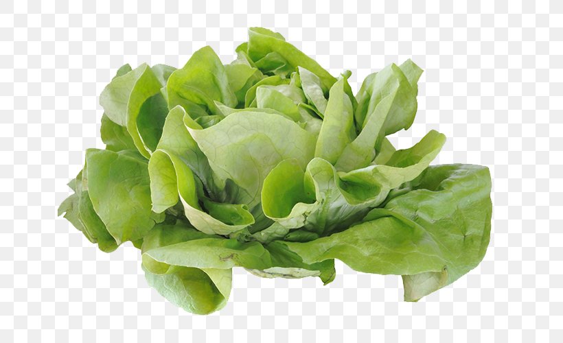 Cabbage Romaine Lettuce Salad Computer File, PNG, 700x500px, Cabbage, Brassica Oleracea, Cruciferous Vegetables, Gratis, Kale Download Free