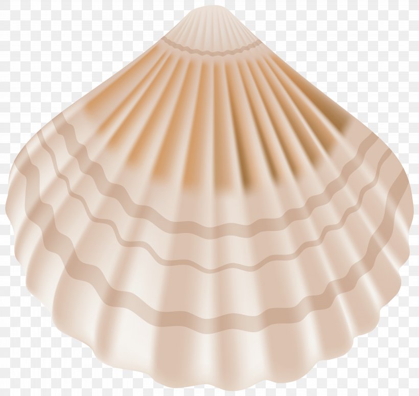Seashell Clip Art, PNG, 6000x5672px, Seashell, Conch, Image File Formats, Lighting Accessory, Peach Download Free