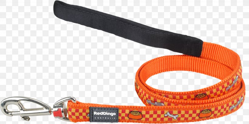 Dog Collar Dingo Leash Police Dog, PNG, 3000x1498px, Dog, Bivouac Shelter, Bowl, Collar, Dingo Download Free