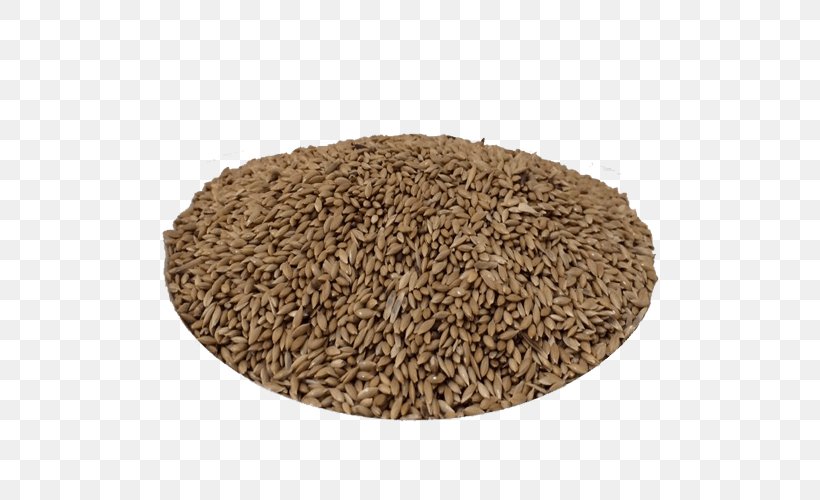 Oat Cereal Sprouted Wheat Whole Grain Spelt, PNG, 500x500px, Oat, Cereal, Cereal Germ, Commodity, Common Wheat Download Free