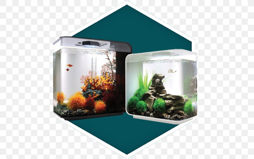 Aquariums Light-emitting Diode Filtration, PNG, 526x514px, Aquarium, Air Pump, Airstone, Aquarium Filters, Aquariums Download Free