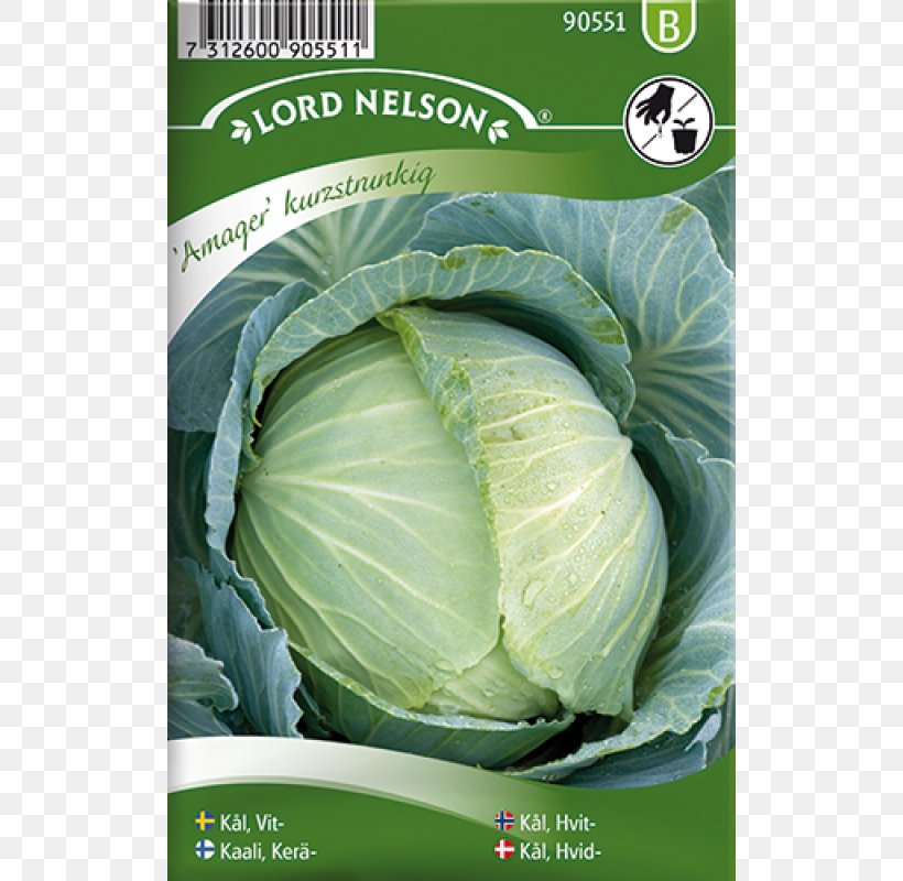 Formula 1 Broccoli Seed Vegetable Bok Choy, PNG, 800x800px, Formula 1, Bok Choy, Brassica Oleracea, Broccoli, Brussels Sprout Download Free