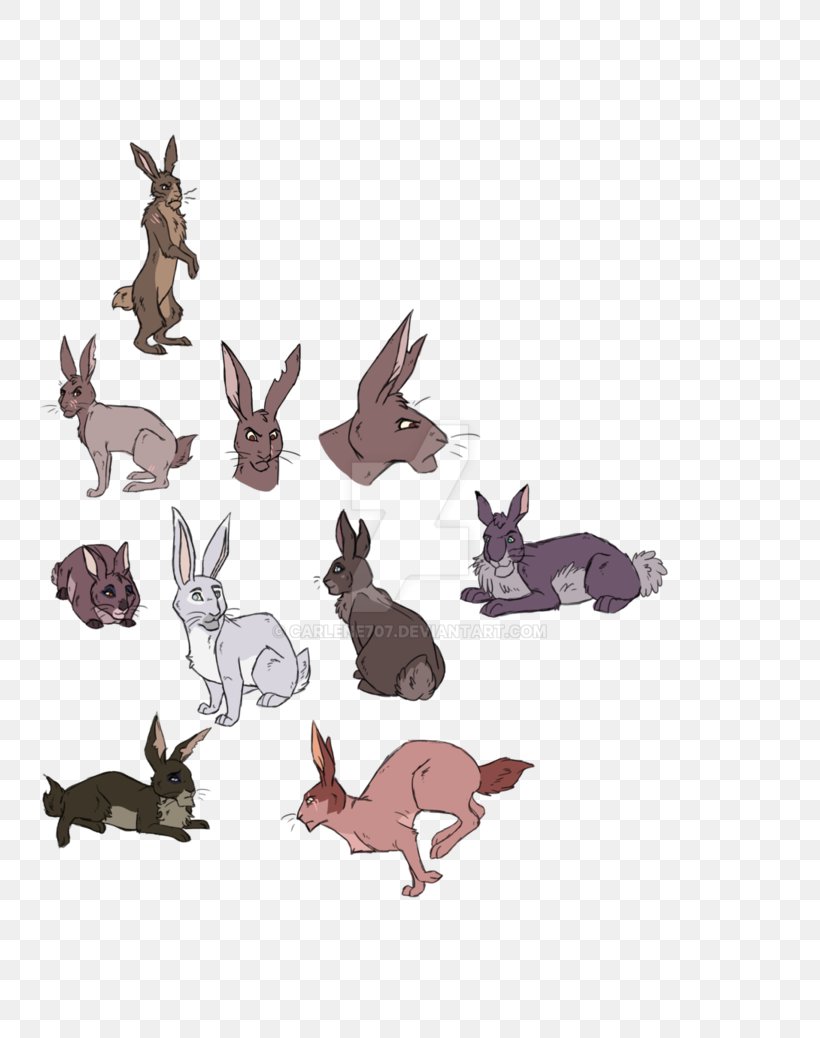 Hare Cat Dog Canidae Animal, PNG, 770x1038px, Hare, Animal, Animal Figure, Canidae, Carnivoran Download Free
