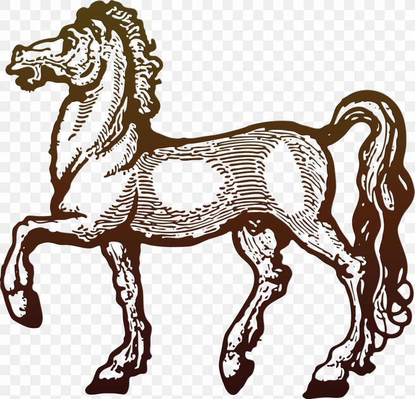 Horse Pony, PNG, 3370x3238px, Horse, Archive File, Art, Bit, Black And White Download Free