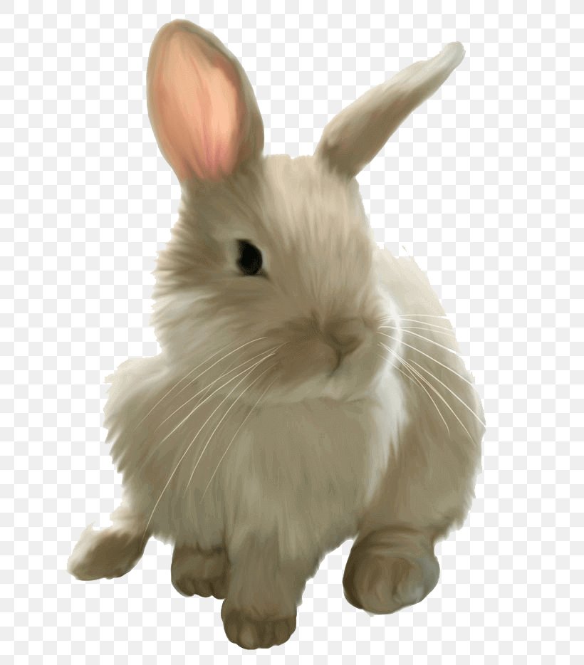 Mini Lop Easter Bunny Hare Angel Bunny Domestic Rabbit, PNG, 708x934px, Mini Lop, Angel Bunny, Animal Figure, Beige, Domestic Rabbit Download Free