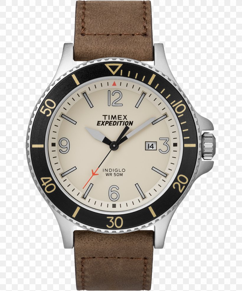 Timex Men's Expedition Scout Timex Group USA, Inc. Timex MF13 Expedition Watch Strap, PNG, 1000x1200px, Timex Group Usa Inc, Analog Watch, Brand, Brown, Chronograph Download Free