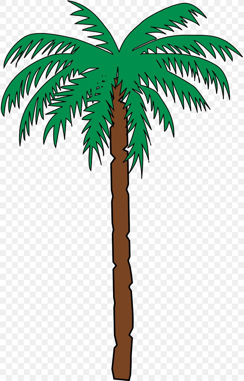 Arecaceae Desert Clip Art, PNG, 816x1280px, Arecaceae, Arecales, Borassus Flabellifer, Branch, Coconut Download Free