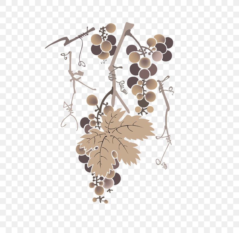 Common Grape Vine Drawing Euclidean Vector, PNG, 800x800px, Common Grape Vine, Drawing, Fruit, Grape, Grape Leaves Download Free