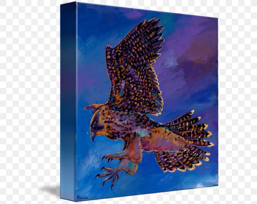 Hawk Owl Eagle Fauna Beak, PNG, 589x650px, Hawk, Beak, Bird, Bird Of Prey, Eagle Download Free