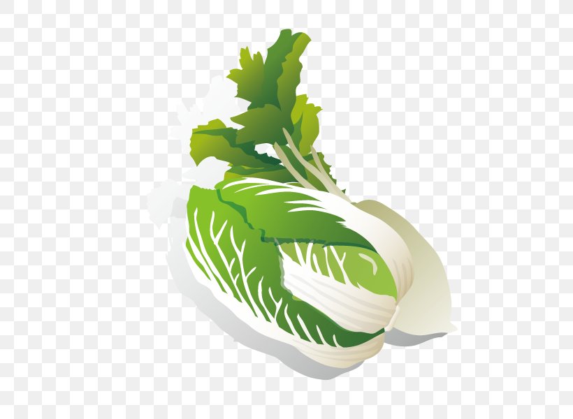 Leaf Vegetable Chinese Cabbage Radish, PNG, 600x600px, Leaf Vegetable, Cabbage, Chinese Cabbage, Food, Grass Download Free