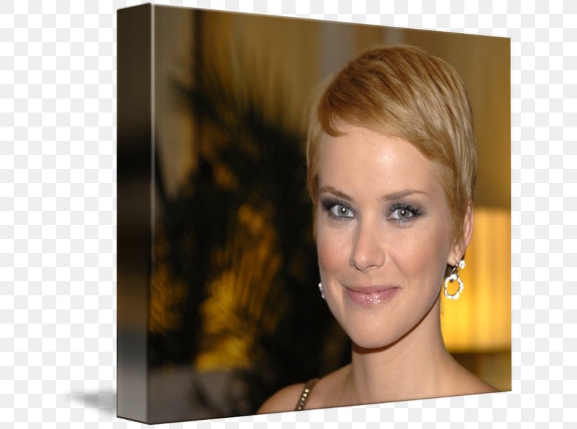 Andrea Osvárt Blond Layered Hair Hair Coloring, PNG, 650x610px, Blond, Beauty, Brown Hair, Celebrity, Chin Download Free