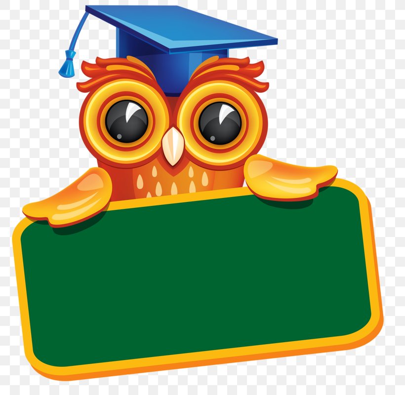 Diploma Graduation Ceremony Clip Art, PNG, 778x800px, Diploma, Academic Certificate, Academic Degree, Beak, Bird Download Free