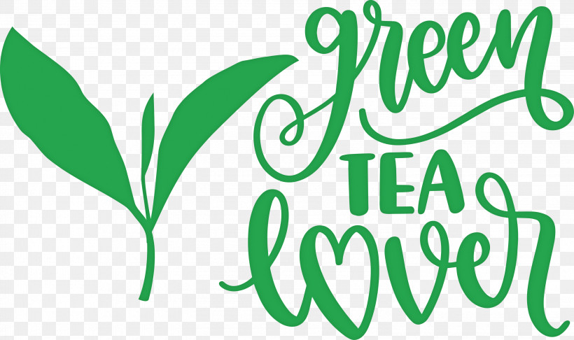 Green Tea Lover Tea, PNG, 3000x1779px, Tea, Green, Leaf, Line, Logo Download Free