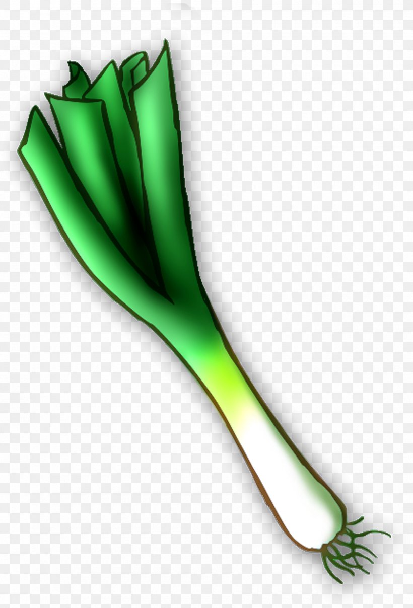 National Symbols Of Wales Vegetable Leek Clip Art, PNG, 1800x2652px, Wales, Allium Fistulosum, Cooking, Flower, Food Download Free