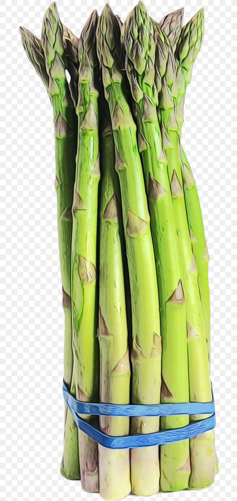 Asparagus Vegetable Bamboo Shoot Plant Food, PNG, 700x1732px, Watercolor, Asparagus, Bamboo, Bamboo Shoot, Food Download Free
