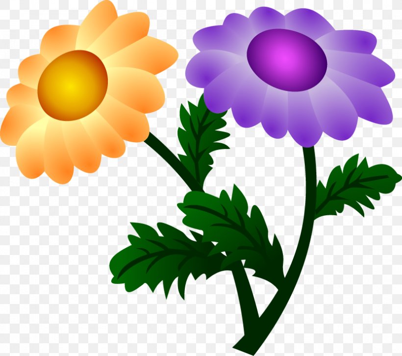 Chrysanthemum Flower Clip Art, PNG, 831x736px, Chrysanthemum, Artwork, Chrysanths, Daisy Family, Flower Download Free