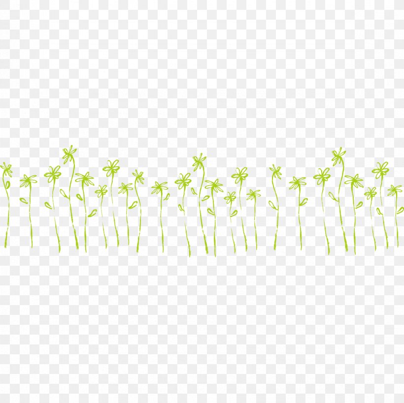 Line Point Angle Green Pattern, PNG, 1181x1181px, Point, Area, Grass, Green, Rectangle Download Free