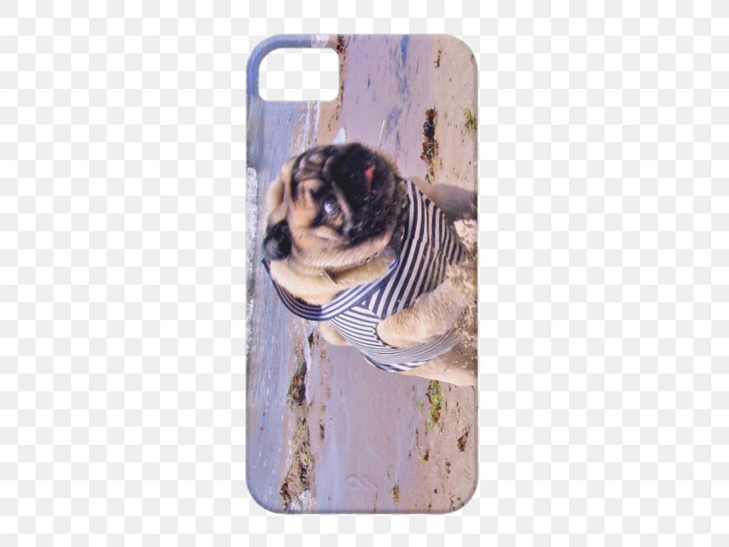 Pug Samsung Galaxy S5 IPhone 5 Samsung Galaxy S4, PNG, 615x615px, Pug, Cat Like Mammal, Dog Like Mammal, Google Nexus, Iphone Download Free