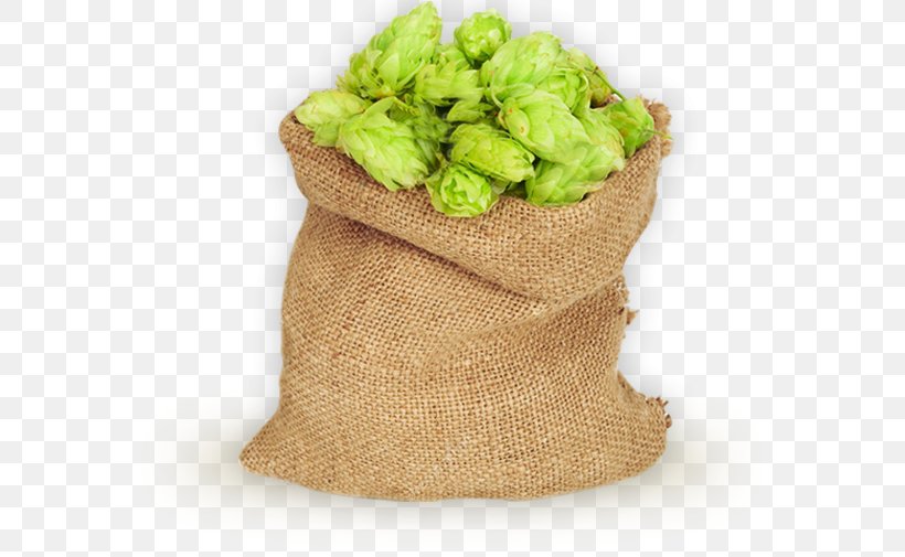 Beer Hops Common Hop Bag, PNG, 584x505px, Beer, Bag, Common Hop, Conifer Cone, Grass Download Free