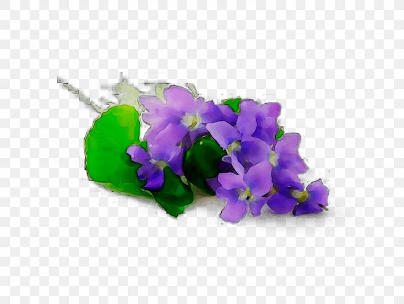 Herbaceous Plant Plants, PNG, 1485x1116px, Herbaceous Plant, Bellflower, Bellflower Family, Dendrobium, Fashion Accessory Download Free